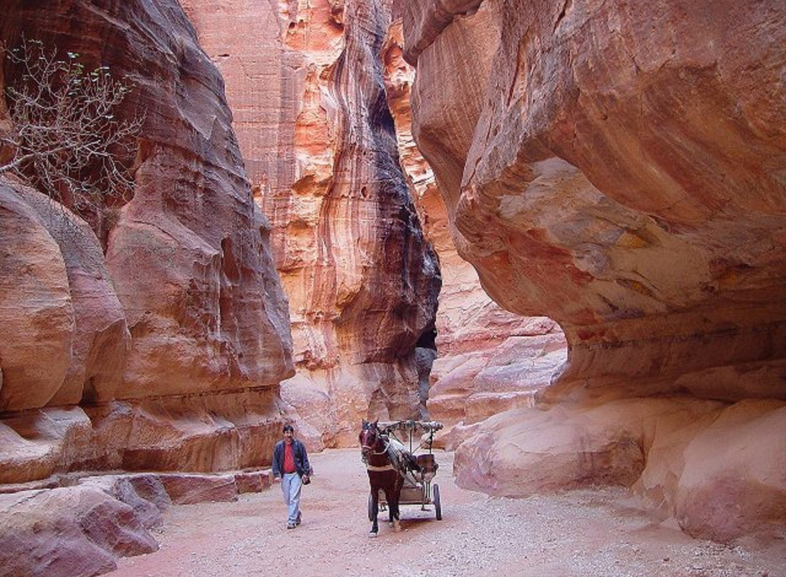 12 Days & 10 Nights Holy Land Pilgrimage