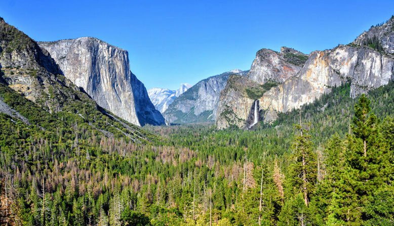 8 Days and 7 Nights West Coast - USA