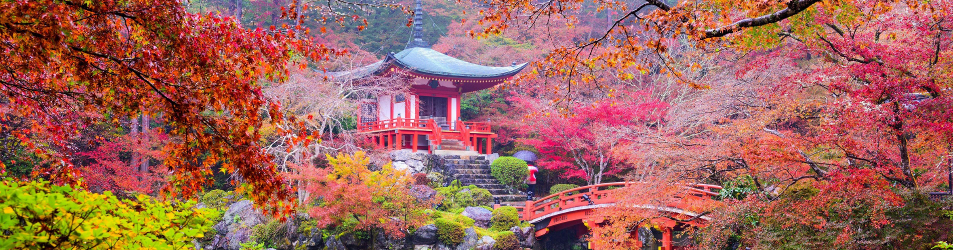 10 Days & 9 Nights Japan