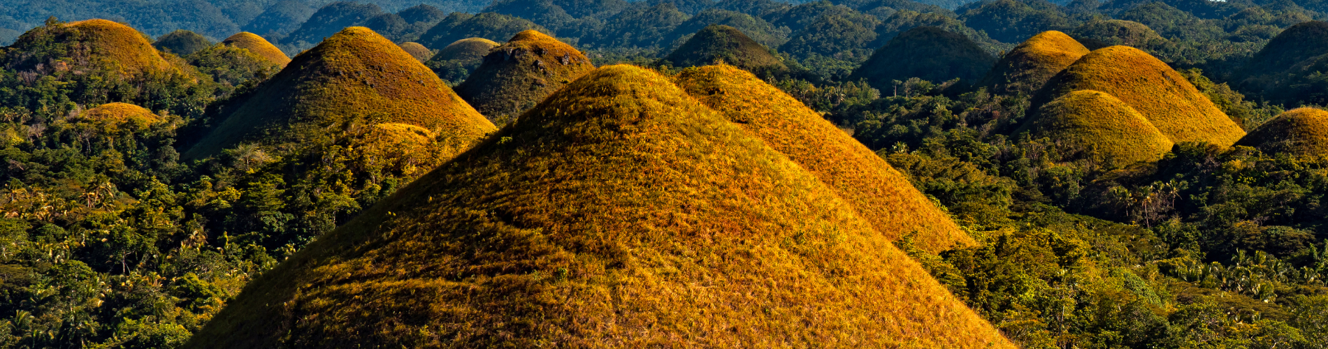 5 Days and 4 Nights - Bohol and Cebu - Philippines