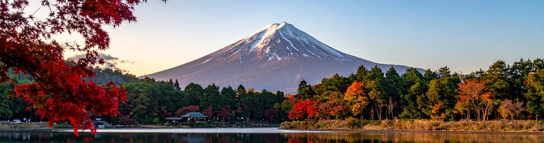 11 Days and 10 Nights - Japan Trip