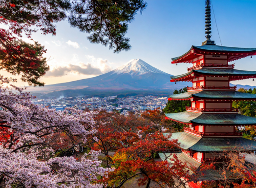 11 Days and 10 Nights - Japan Trip